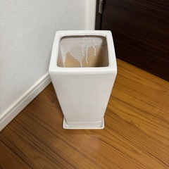 陶器　白　植木鉢の画像