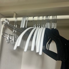 引き取り手決まりました
の画像