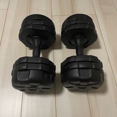 アーミーダンベル 10kg 2個セット ブラック LEDB-10BK*2の画像