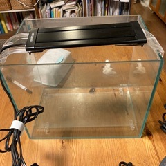 水槽格安セット　エビ　水草水槽の画像