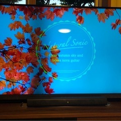 TOSHIBA 58インチTV 訳ありの画像