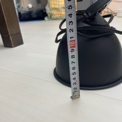 ペット爬虫類の画像