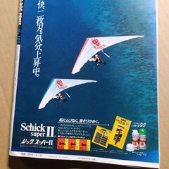 Hot-Dog PRESS ホットドッグ・プレス No.102 昭和59年 1984年8月25日号 人生の成功者になれる本 マッケンロー　ファッション　井上大輔の画像