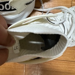 カップルスニーカーの画像