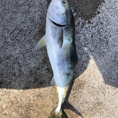 釣りして最高の釣果で笑って帰りましょう - 町田市
