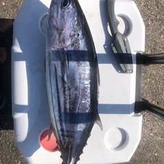 釣りして最高の釣果で笑って帰りましょう - 友達