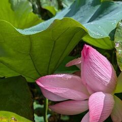 東海地区出身、移住者さん
