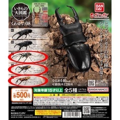 いきもの大図鑑 くわがた08 03チリクワガタ 04スペキオスス...