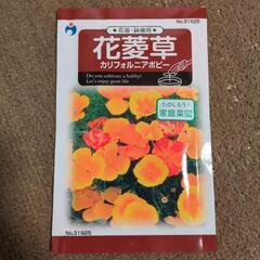 カリフォルニアポピー（花菱草）の種