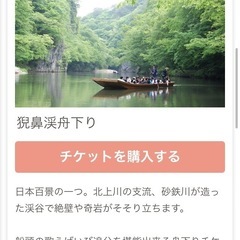 岩手県　猊鼻渓　舟下りチケット　４枚あり