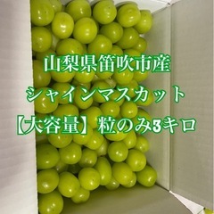 シャインマスカット粒のみ3kg