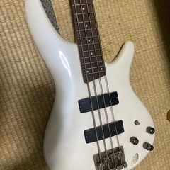 Ibanez SDGR