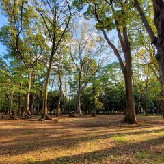 クロカンコース早朝ランニング in 代々木公園 0929