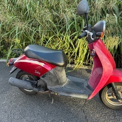 車体　ホンダ　トゥデイ　AF61の画像