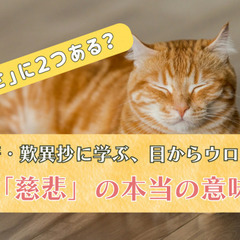 【「優しさ」に2つある?名著・歎異抄に学ぶ、目からウロコの「慈悲...