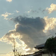 一眼レフ仲間がほしい