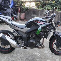 ⭐カワサキニンジャ250　EX250L　黒/グレー　カウルレスカスタム車　インジェクション　ABS付きの画像