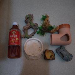 爬虫類などの用品　水槽小物　オカヤドカリ　(中古)
