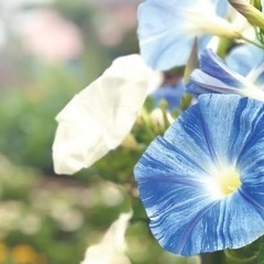9月29日(日)赤羽カラオケメンバー大募集中【りばいぶ】