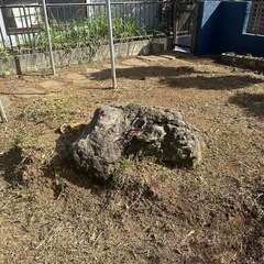 庭石、大きいの画像