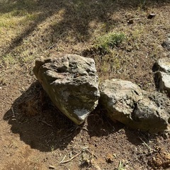 庭石、大きいの画像