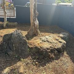 庭石、大きいの画像