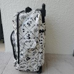 キャリーバッグの画像