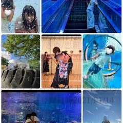 様々な写真撮影
