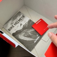 新品未使用ALPINAアルピナ自転車用ヘルメット子ども用黒の画像