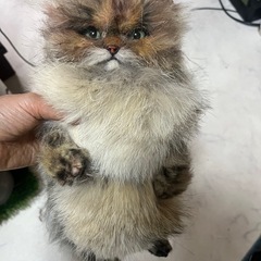 りりぃれい🍀ぬいぐるみ教室🍀の画像