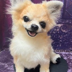 りりぃれい🍀ぬいぐるみ教室🍀の画像