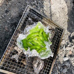 3月デイキャンプ行きませんか？ - 友達