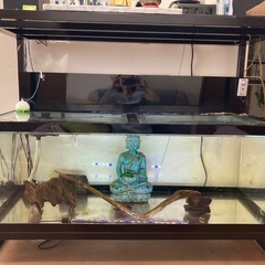 水槽、水槽フレームセット　120cm