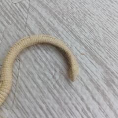 IKEA　KOMPLEMENTの画像