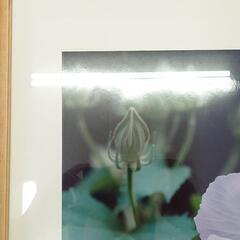 【決まりました】額縁の画像
