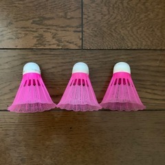 子供のバドミントンセットの画像