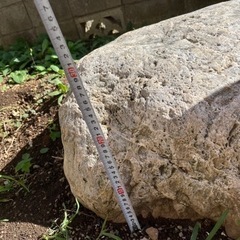 1000円差し上げます！庭石無料！の画像