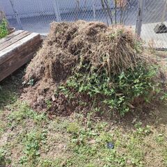 【無農薬】畑土　肥土　