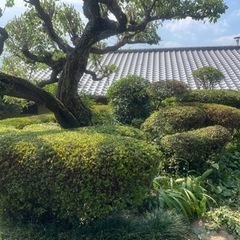 剪定、草刈、伐採、その他お庭手入れの画像