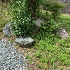 庭石を引き取り願います。