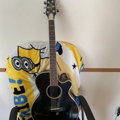 最終値下げ！掲載２５日までです。Morris エレアコ