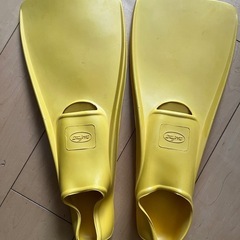 フィン　Lサイズ
　の画像