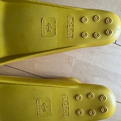 フィン　Lサイズ
　の画像