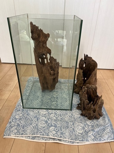 引取限定　ガラス水槽　おまけ付き