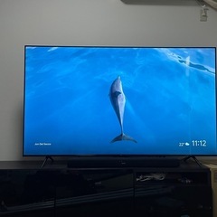 TCL75インチ液晶テレビ　パーティールームセット