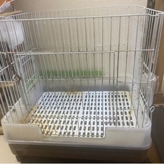 ペット　ケージの画像