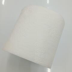 コストコ トイレットペーパー6ロール入の画像