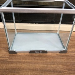 テトラ　水槽　30センチ
