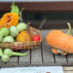 秋の登山🏔️花散歩🌸紅葉🍁食べ歩き🍡 - 友達