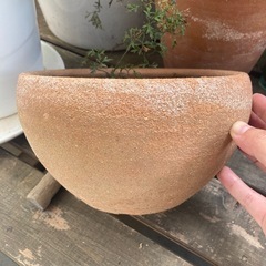 コロンとした植木鉢の画像